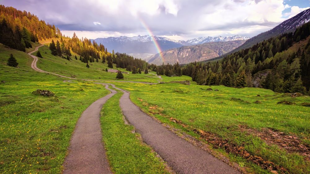 Grassy lane leading to a rainbow symbolising the Right to Choose pathway